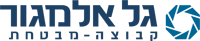 בניית אתר תדמית לחברת ביטוח ופיננסים גל אלמגור