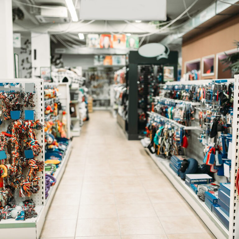 Pet shop interior, shelves with accessories