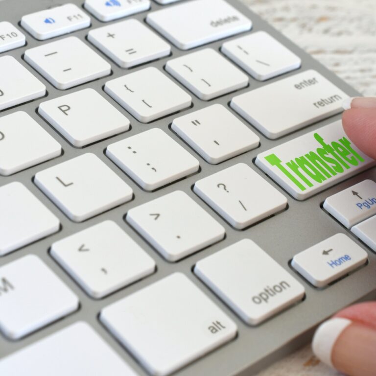 Woman making an online transfer of funds data files